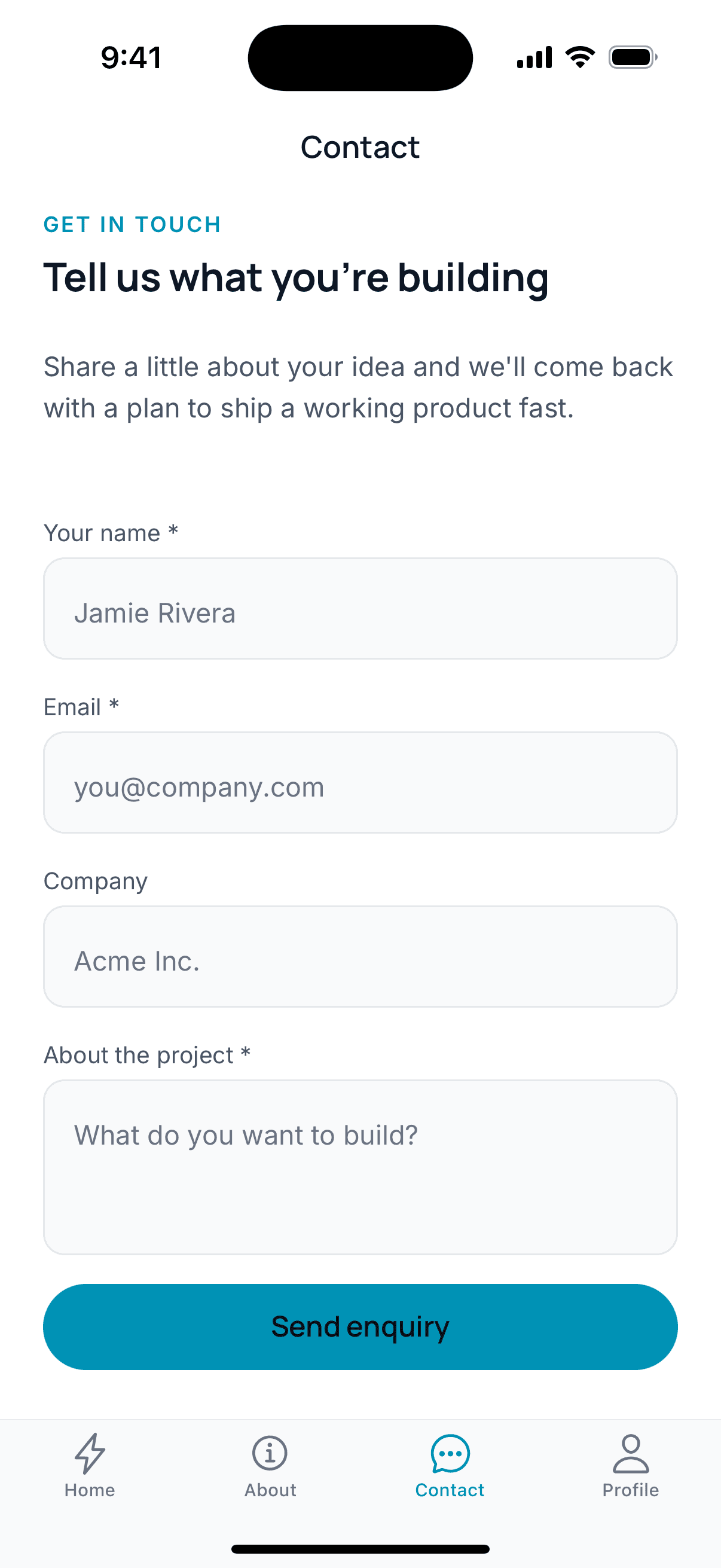 Persistent Software contact screen with an enquiry form.